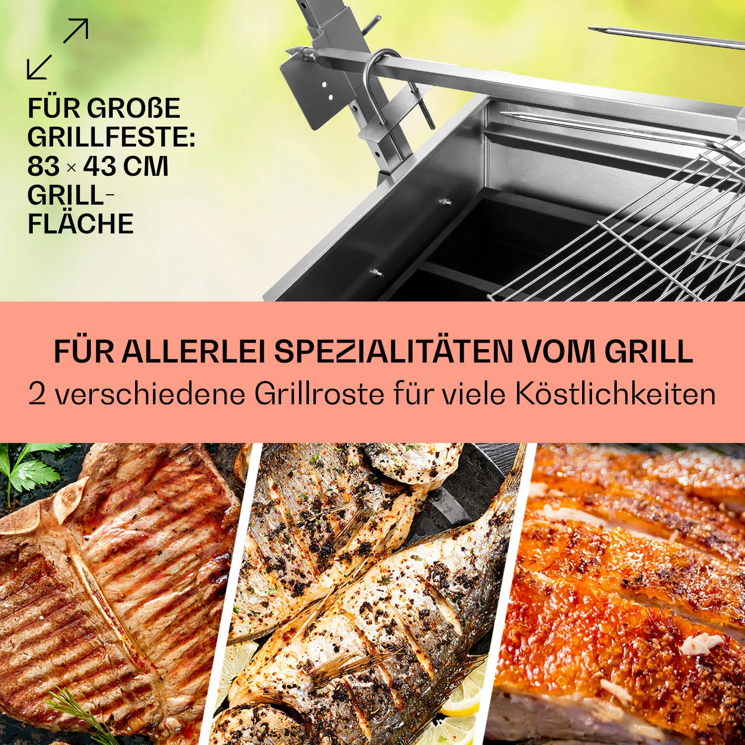Sauenland Spanferkelgrill Mit Elektromotor Drehspieß 6 Sauenland Spanferkelgrill Mit Elektromotor Drehspieß - Image 4