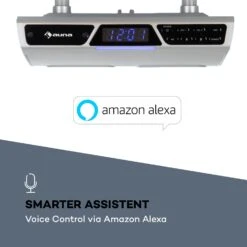 Intelligence Radio Mit Alexa Bluetooth WLAN Freisprecheinrichtung -Haushaltsgeräte Förderung 10032299 de 0003 logo