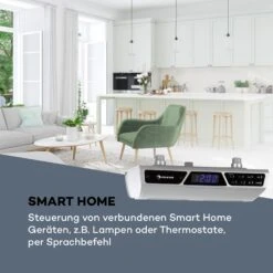 Intelligence Radio Mit Alexa Bluetooth WLAN Freisprecheinrichtung -Haushaltsgeräte Förderung 10032299 de 0005 logo