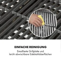 Highgrade 4 IB Gasgrill 6 Brenner 19,8 KW 71x46cm Grill Edelstahl -Haushaltsgeräte Förderung 10032580 de 0010 logo