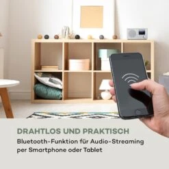 Silver Star Mini Internet DAB+/UKW Radio, WiFi, BT, DAB+/UKW, Weiß -Haushaltsgeräte Förderung 10032792 de 0005 logo