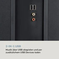 Karaboom 100 Sing Karaoketurm 120W Max. CD-Player 2 Mikrofone Wireless -Haushaltsgeräte Förderung 10033250 de 0007 logo