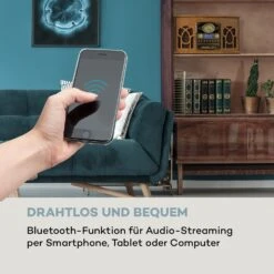 NR-620 DAB Stereoanlage Holz Plattenspieler DAB+ CD-Player Braun -Haushaltsgeräte Förderung 10033711 de 0004 logo