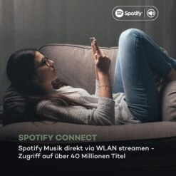 ITuner 320 BT Digitaler HiFi-Tuner Spotify Connect BT App-Control -Haushaltsgeräte Förderung 10034064 de 0004 logo
