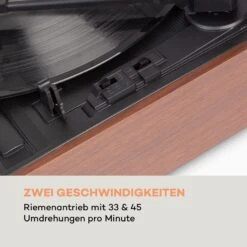 TT-138 DAB Plattenspieler DAB+/FM Riemenantrieb 33/45 U/min Line-Out -Haushaltsgeräte Förderung 10034092 de 0006 logo