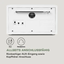 Ambient DAB+/FM Radio BT 5.0 AUX-In  LCDisplay Wecker Eieruhr -Haushaltsgeräte Förderung 10034901 de 0006 logo