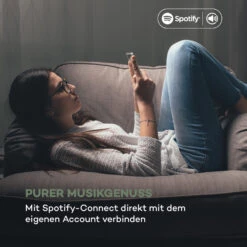 IR-260 Internetradio WLAN USB AUX UPnP 2.8" HCC-Display Fernbedienung -Haushaltsgeräte Förderung 10034908 de 0004 logo