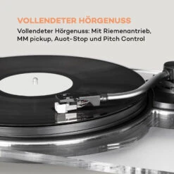 Pureness Plattenspieler Acryl 33 1/3 + 45 U/min Vorverstärker -Haushaltsgeräte Förderung 10035078 de 0004 logo