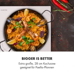 Delicatessa 77 Hybrid Einbaukochfeld Induktion 4 Zonen 7000W -Haushaltsgeräte Förderung 10035199 de 0009 logo