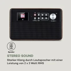 Nestor DAB+ Radio DAB+/FM 2 Betriebsmodi 2,4" TFT-Farbdisplay -Haushaltsgeräte Förderung 10035369 de 0006 logo