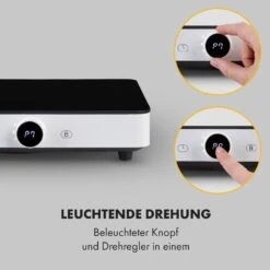 FutureChef Doppel-Induktionskochplatte 3000Watt 2 Kochfelder -Haushaltsgeräte Förderung 10035731 yy 0003 logo