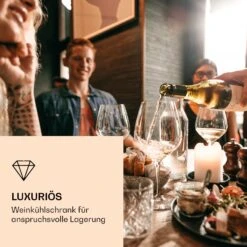 Vinovilla 7 Built-in Uno Onyx Einbau-Weinkühlschrank Glas Edelstahl -Haushaltsgeräte Förderung 10036178 de 0002 logo