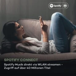 Connect CD MKII Internetradio Mediaplayer BT MP3 DAB+ Spotify Radio -Haushaltsgeräte Förderung 10037491 de 0003 logo