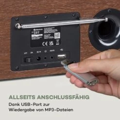 Silver Star Stereo Internet DAB+/UKW Radio BT USB App-Steuerung -Haushaltsgeräte Förderung 10038351 de 0007 logo