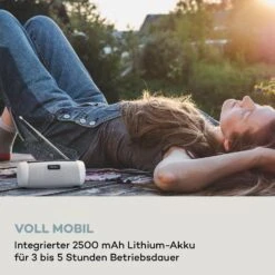 Blaster DAB Radio Tragbarer Bluetooth-Lautsprecher DAB/DAB+/FM Akku LCD -Haushaltsgeräte Förderung 10038363 de 0007 logo