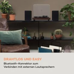 TT-Classic Light Plattenspieler Staubschutz Bluetooth 33/45/78 U/min -Haushaltsgeräte Förderung 10038898 de 0003 logo