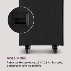 Pro Spin 10 Karaoke-System 14,1" Touch-Display 2xMic WiFi BT USB HDMI -Haushaltsgeräte Förderung 10040307 de 0007 logo