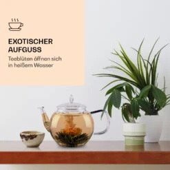 Feelino 6er Teeblume Mix Grün -Haushaltsgeräte Förderung 10040407 de 0003 logo