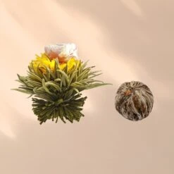 Feelino 6er Teeblume Mix Grün -Haushaltsgeräte Förderung 10040407 yy 0007 logo