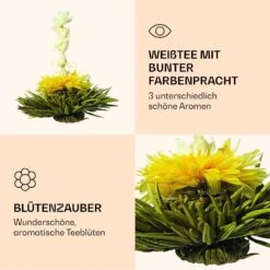 Feelino_Teaflower_white -Haushaltsgeräte Förderung 10040410 de 0006 logo