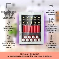 Coachella 60 Kühlschrank 60 Liter WiFi-Funktion Hintergrundbeleuchtung 10 Coachella 60 Kühlschrank 60 Liter WiFi-Funktion Hintergrundbeleuchtung -Haushaltsgeräte Förderung 10045042 de 0002 usp