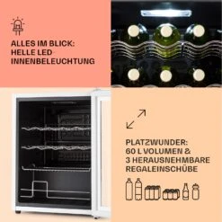 Coachella 60 Kühlschrank 60 Liter WiFi-Funktion Hintergrundbeleuchtung 12 Coachella 60 Kühlschrank 60 Liter WiFi-Funktion Hintergrundbeleuchtung -Haushaltsgeräte Förderung 10045042 de 0004 usp